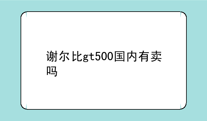 谢尔比gt500国内有卖吗